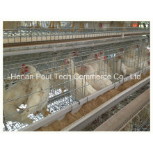 Layer Cage for Poultry Farm